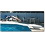 Frontier III Diving Board (White)